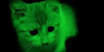 pic Glow In The Dark Cats Gmo 13 peculiar gmos you probably didn t know about