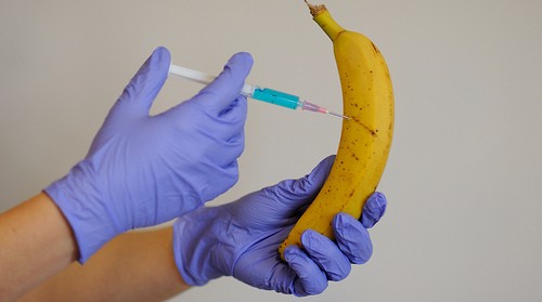 This Is How Synthetic Biology Will Solve Our Banana Problem