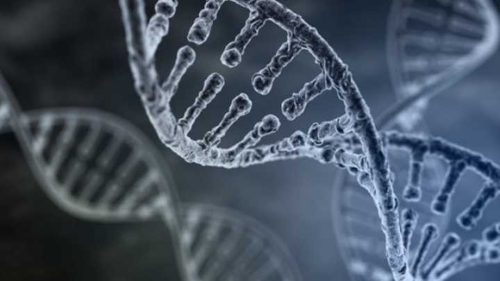 The Non Coding Genome Finding Jewel In The Junk Dna The Non Coding Genome Finding Jewel In The Junk Dna