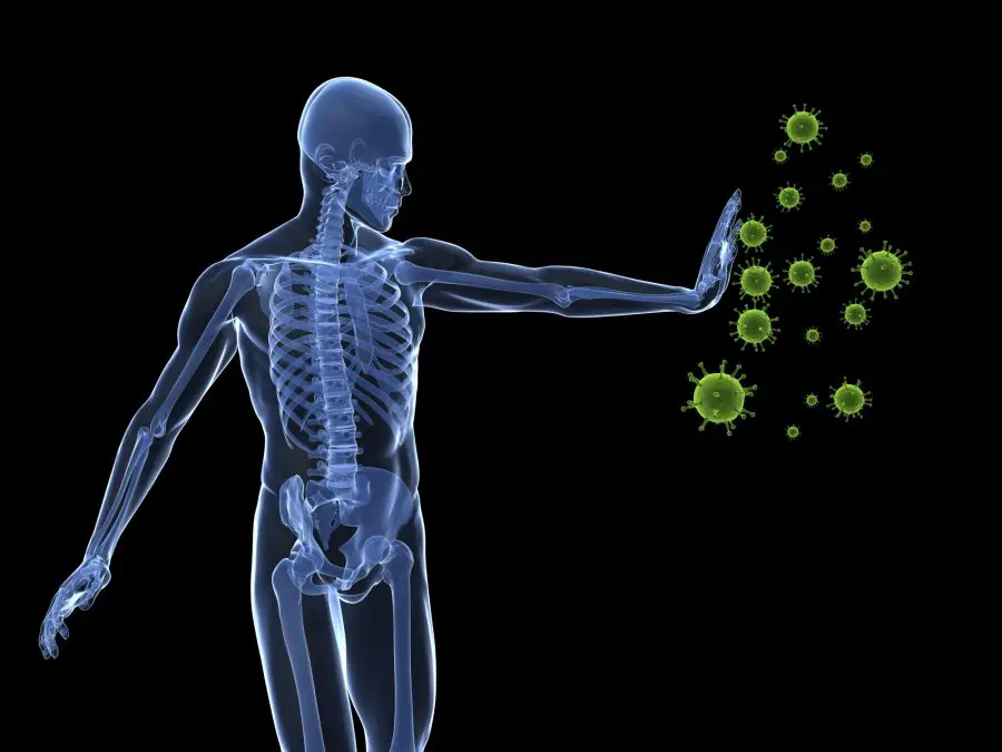 Immune Stimulation: Busting The Myth