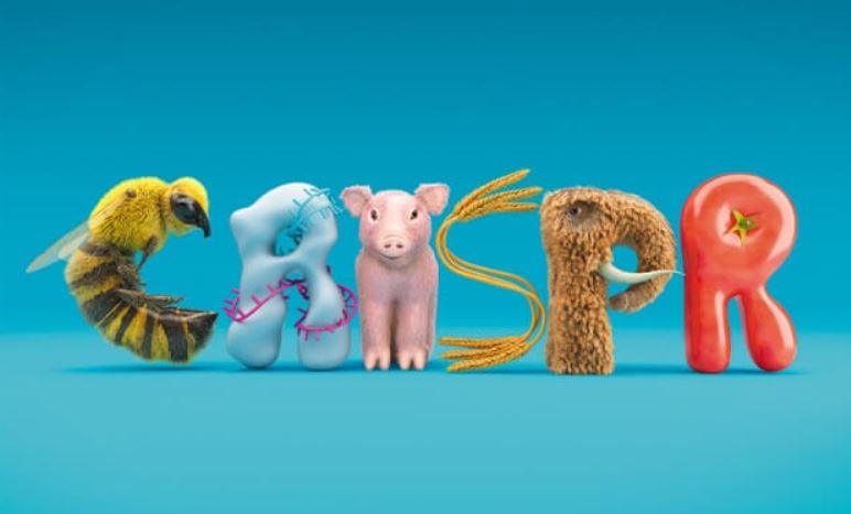 Crispr