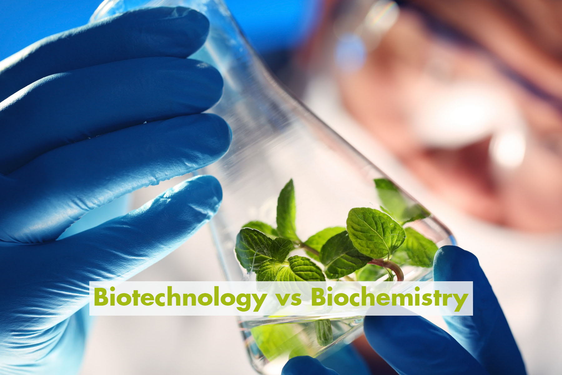 Biotechnology Vs Biochemistry - Best For Further Studies And Career