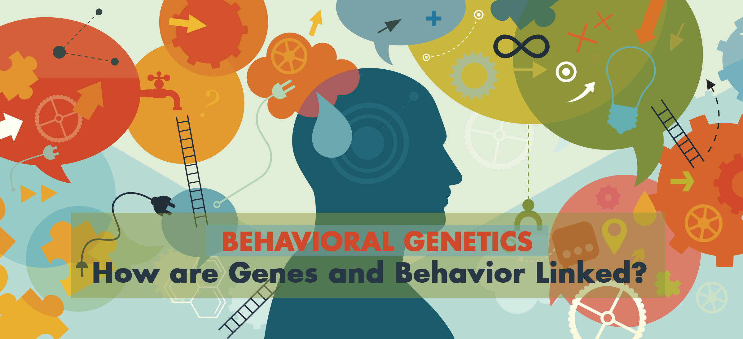 Behavioral Genetics - How Are Genes And Behavior Linked?