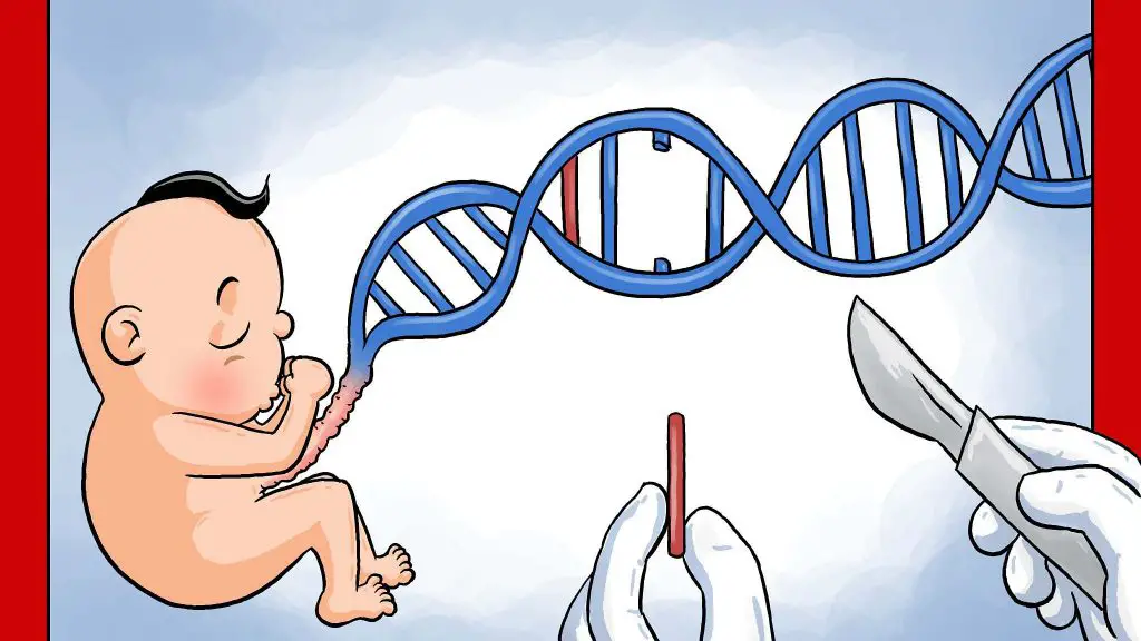 how does genetics work with babies