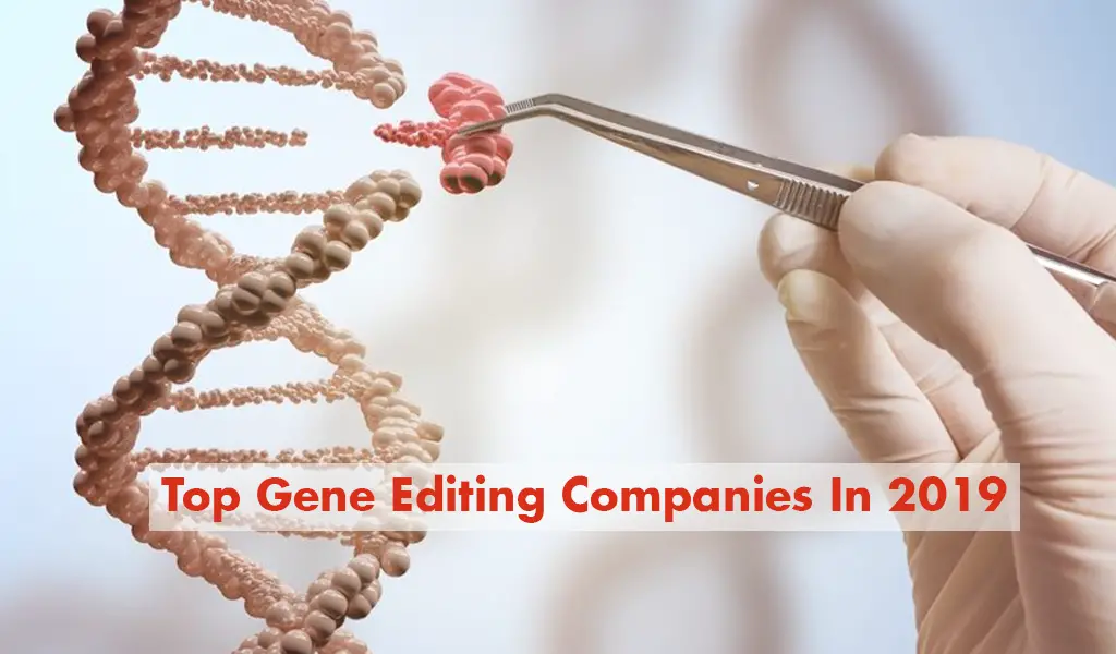 top gene editing companies 2019 using tools like Crispr-cas9 technology, Zfn with different gen editing techniques. 