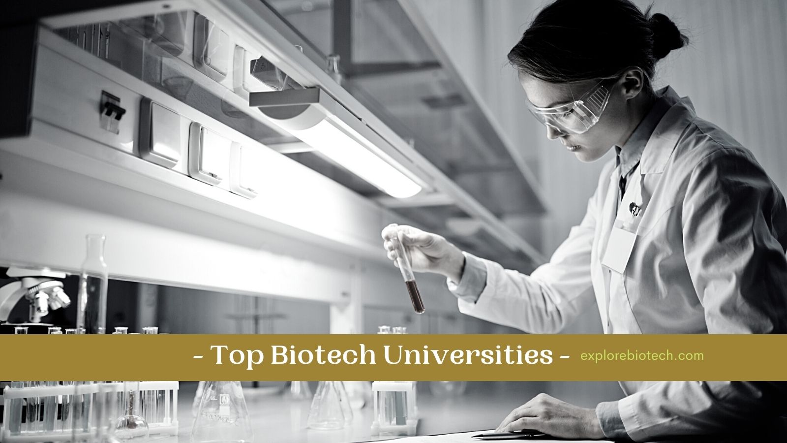 Top 10 Biotechnology Universities In The World